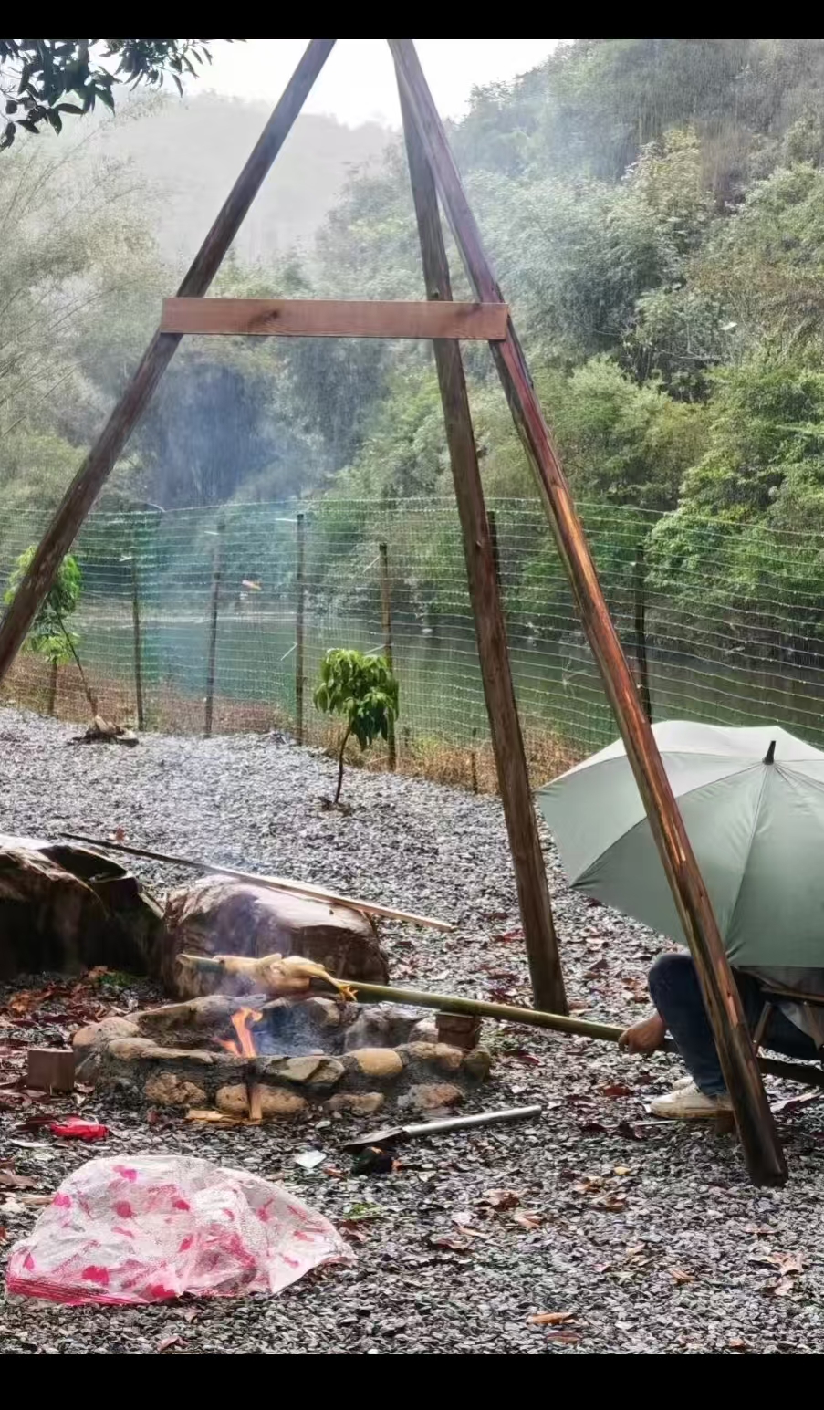 烤烧鸡实拍
